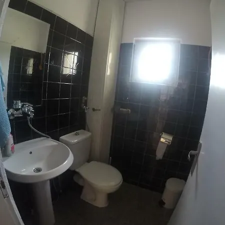 Sea Star